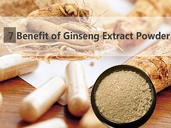 What Does Ginseng Extract Do For The Body,Ginseng Root Extract Benefits